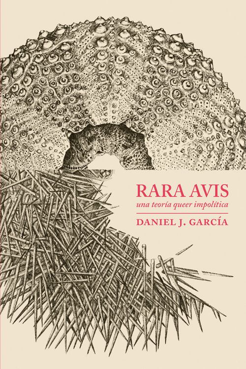 RARA AVIS