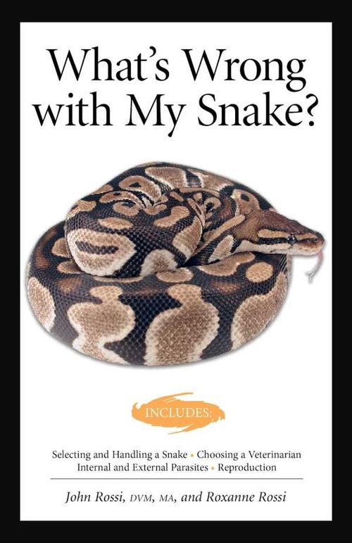 Whats Wrong With My Snake advanced Vivarium Systems