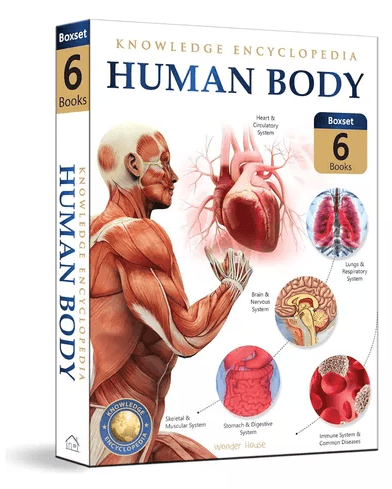 Human body