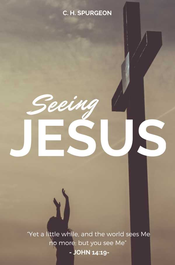 bw-seeing-jesus-selected-christian-literature-9788582184271