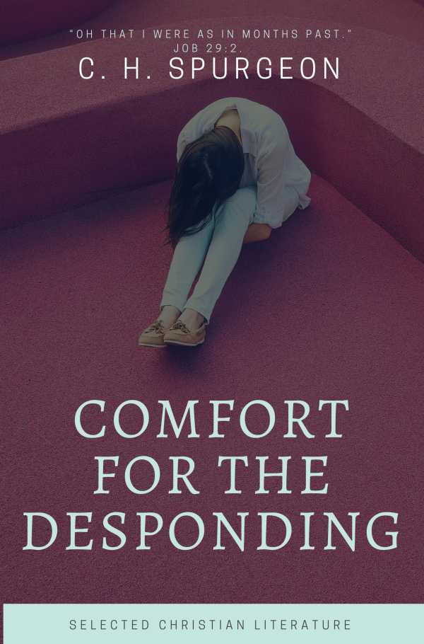 bw-comfort-for-the-despoding-selected-christian-literature-9788582184066