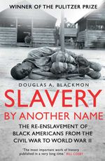 bw-slavery-by-another-name-icon-books-9781848314139