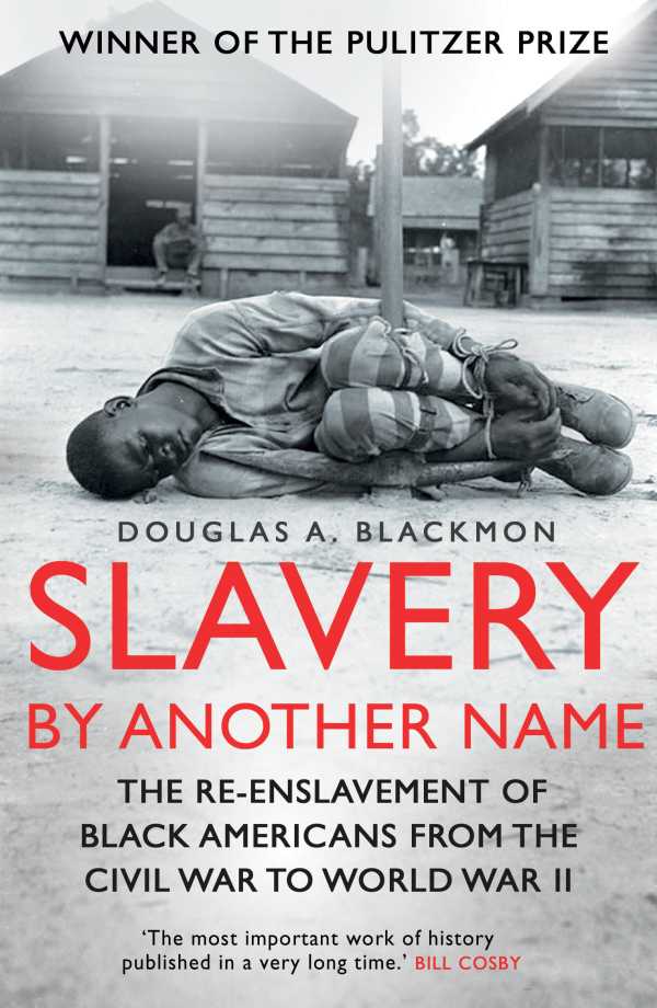 bw-slavery-by-another-name-icon-books-9781848314139