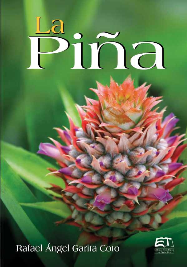bw-la-pintildea-editorial-tecnologica-de-costa-rica-9789977663302