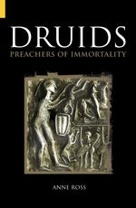 bw-druids-the-history-press-9780750952484