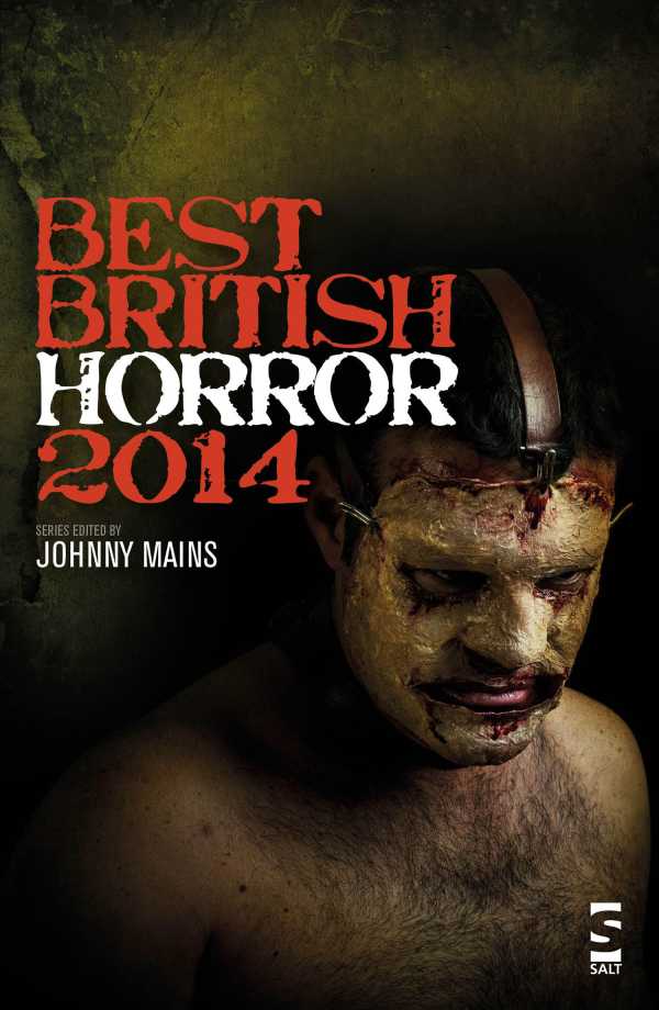 bw-best-british-horror-2014-salt-9781784630072