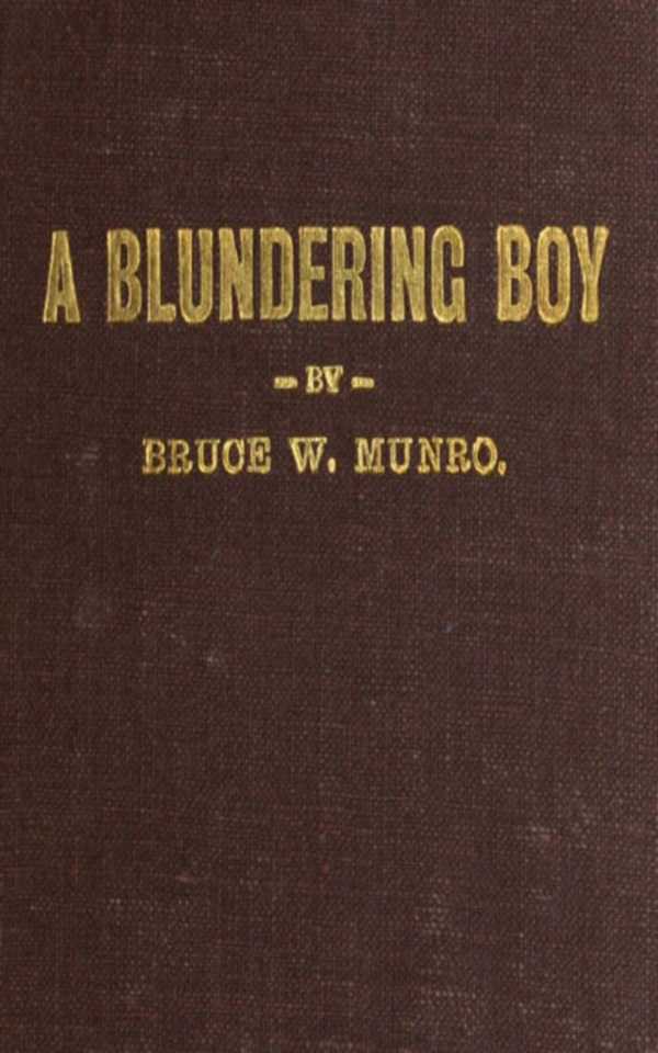 bw-a-blundering-boy-anboco-9783736418448