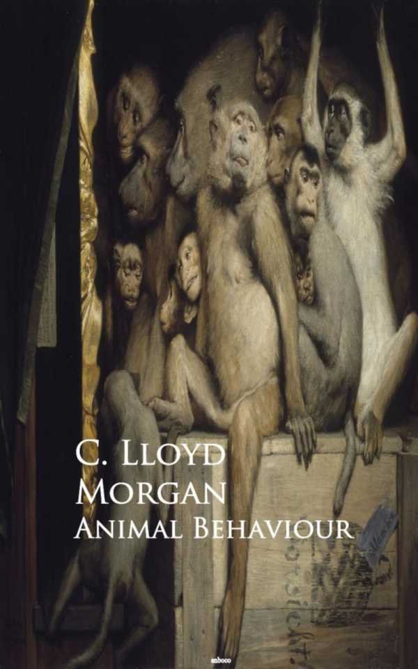 bw-animal-behaviour-anboco-9783736418707
