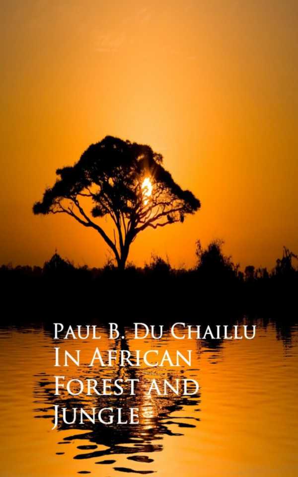 bw-in-african-forest-and-jungle-anboco-9783736406308