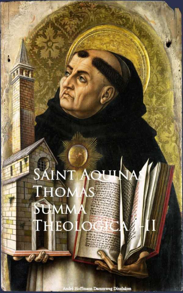 bw-summa-theologica-anboco-9783736409941