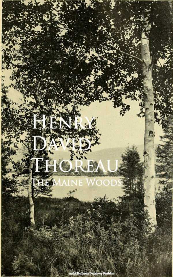 bw-the-maine-woods-anboco-9783736412644