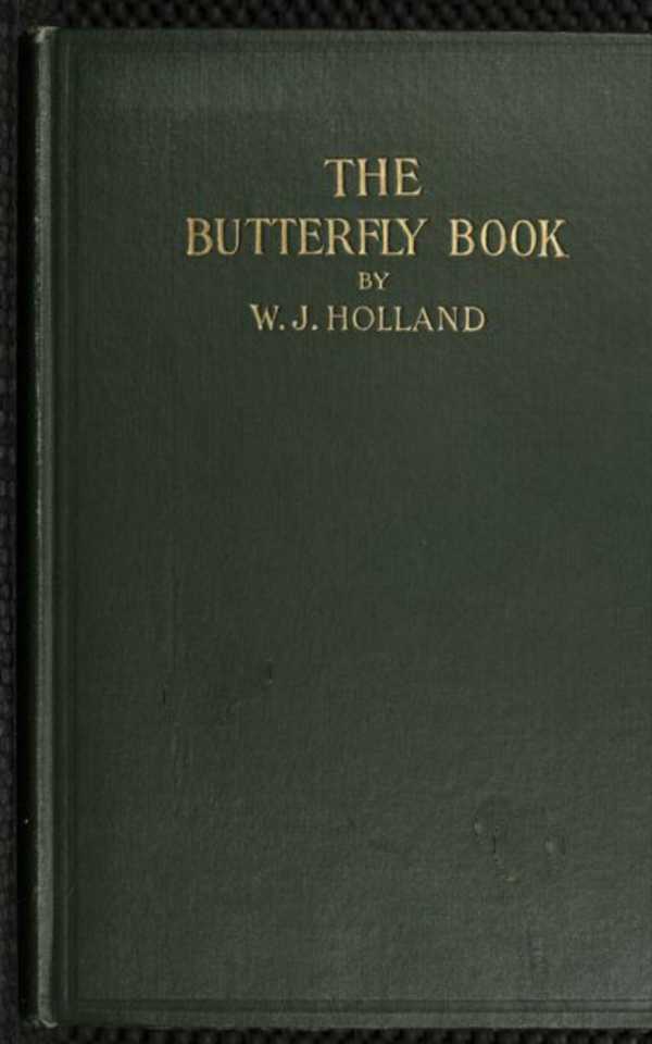 bw-the-butterfly-book-anboco-9783736407480