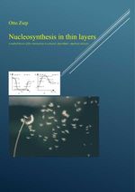 bw-nucleosynthesis-in-thin-layers-epubli-9783758490064
