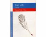 03_Angel_caido_poemas