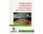 07_analisis_satelital_multitemporal