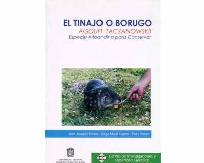 43_el_tinajo_o_borugo