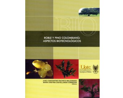 29_roble_y_pino
