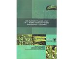 45_los_helechos_y_plantas_uptc