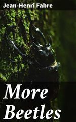 bw-more-beetles-good-press-4064066419202