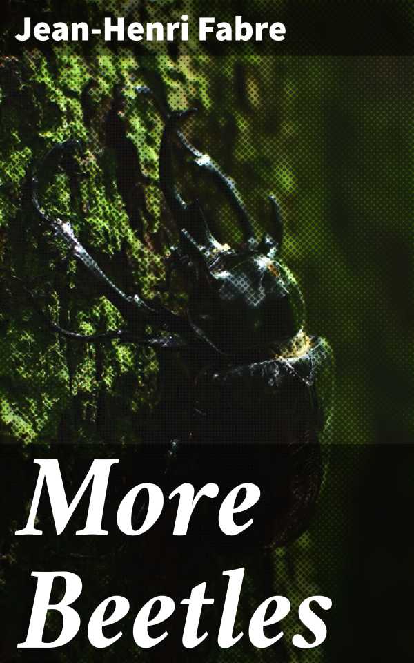 bw-more-beetles-good-press-4064066419202