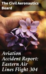 bw-aviation-accident-report-eastern-air-lines-flight-304-good-press-4064066443900