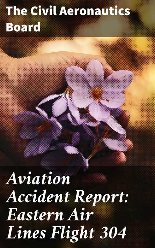 Aviation Accident Report Eastern Air Lines Flight 304