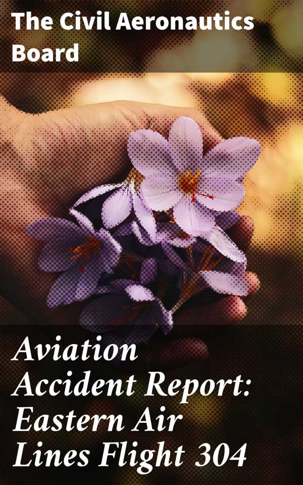 bw-aviation-accident-report-eastern-air-lines-flight-304-good-press-4064066443900