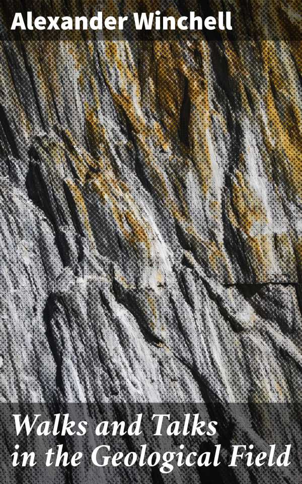 bw-walks-and-talks-in-the-geological-field-good-press-4064066360078