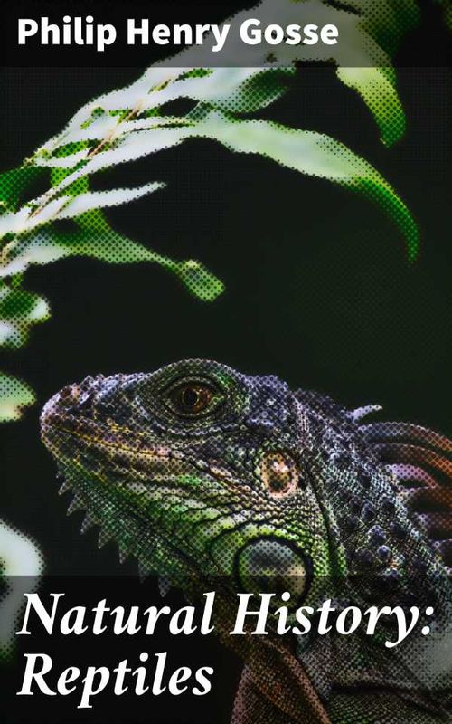 Natural History Reptiles