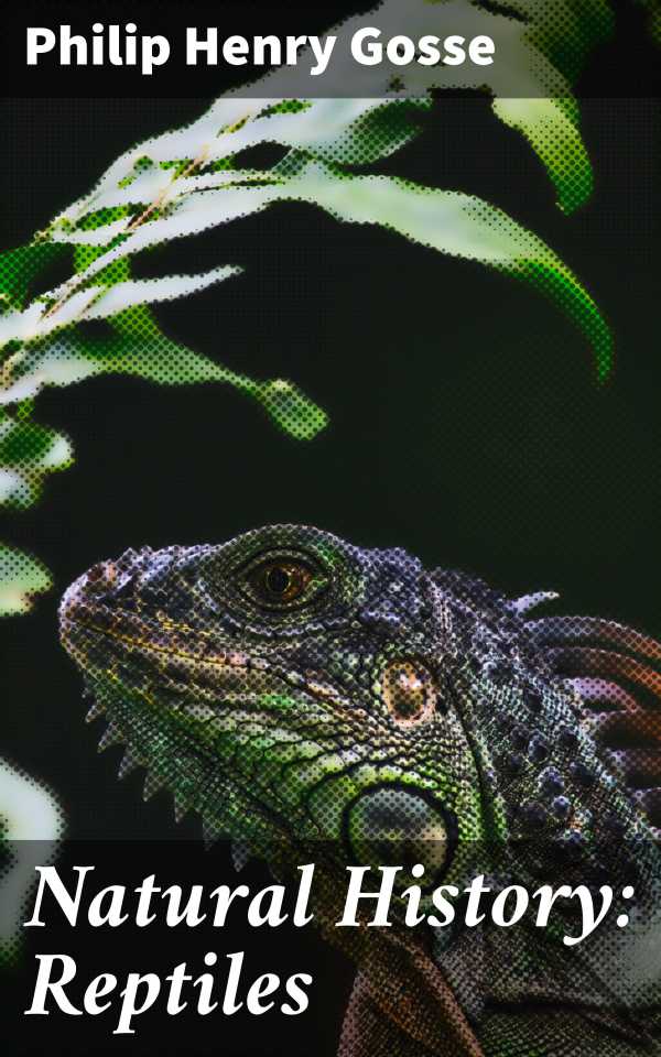 bw-natural-history-reptiles-good-press-4064066082840