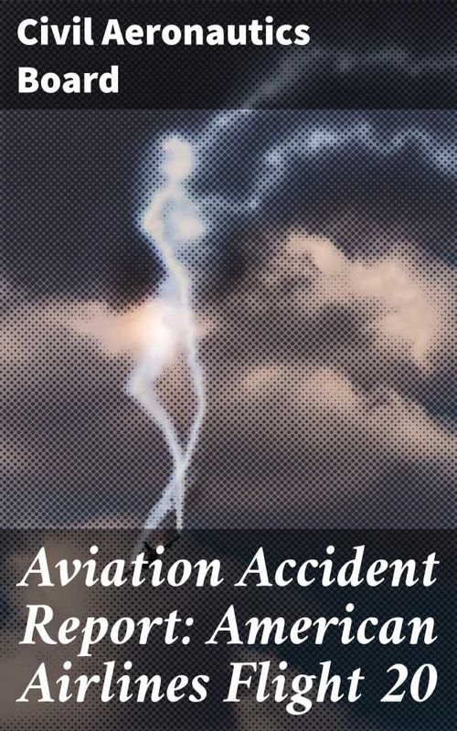 Aviation Accident Report American Airlines Flight 20