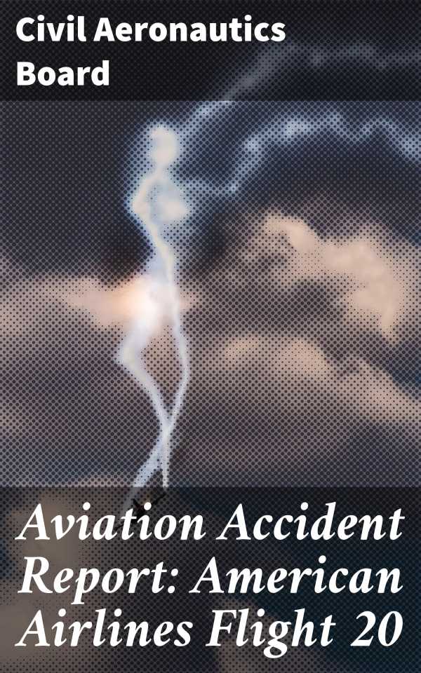 bw-aviation-accident-report-american-airlines-flight-20-good-press-4064066067588