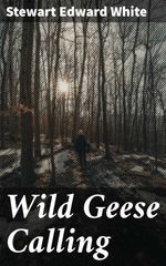 bw-wild-geese-calling-good-press-4064066356323