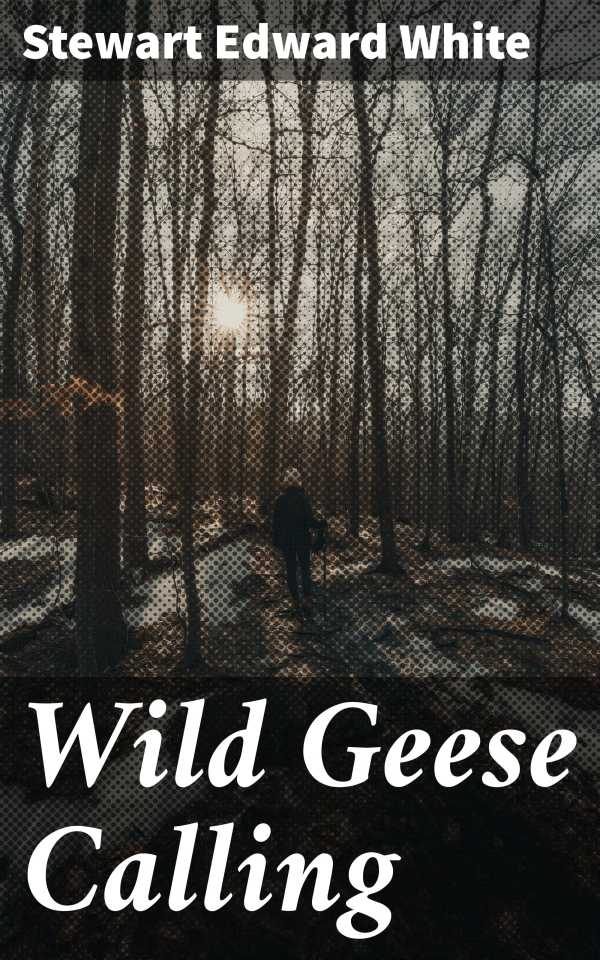 bw-wild-geese-calling-good-press-4064066356323