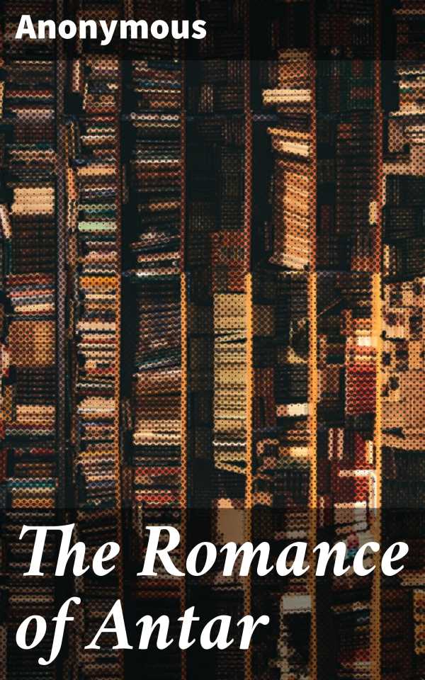 bw-the-romance-of-antar-good-press-4064066317140