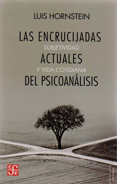 Las encrucijadas actuales del psicoanálisis Subjetividad y vida cotidiana