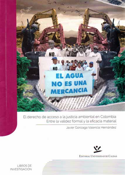 El derecho de acceso a la justicia ambiental en Colombia Entre la validez formal y la eficacia material