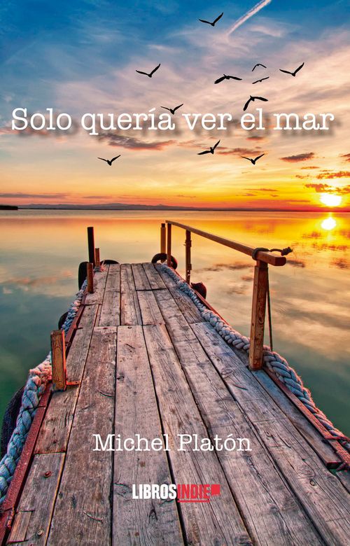 Solo queria ver el mar