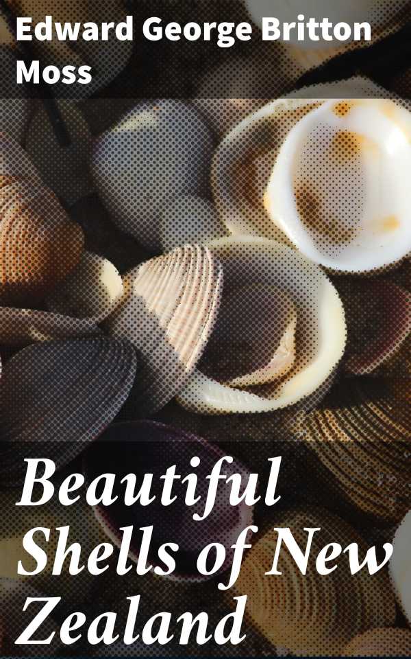 bw-beautiful-shells-of-new-zealand-good-press-4064066159603