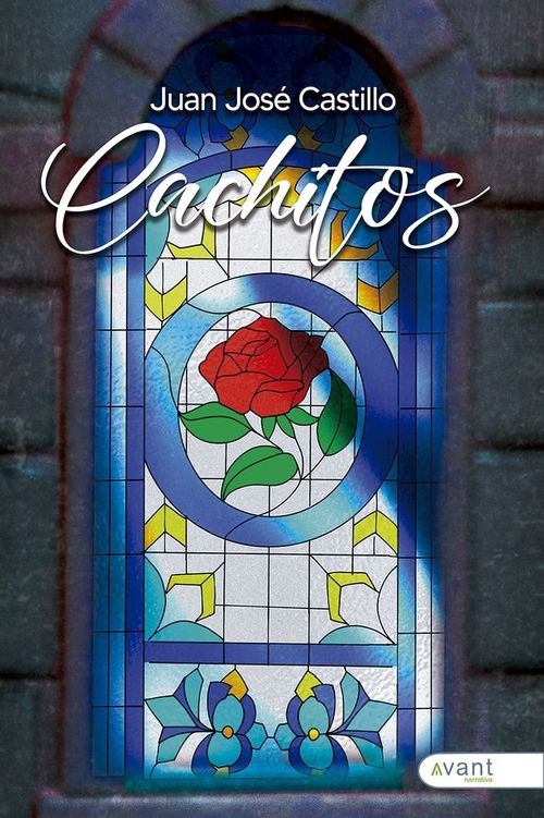20 CACHITOS DE POESIA