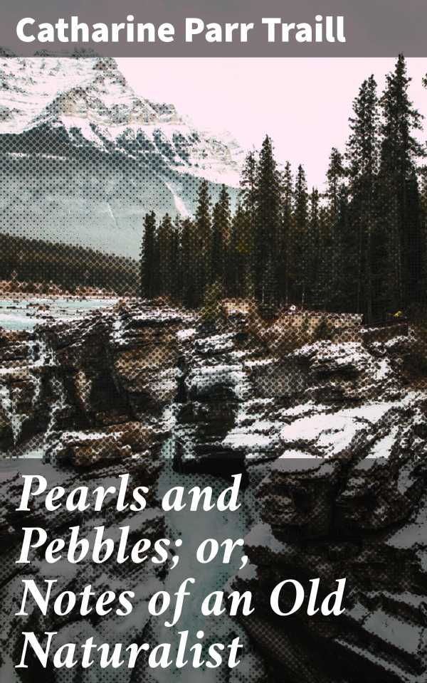 bw-pearls-and-pebbles-or-notes-of-an-old-naturalist-good-press-4064066361181