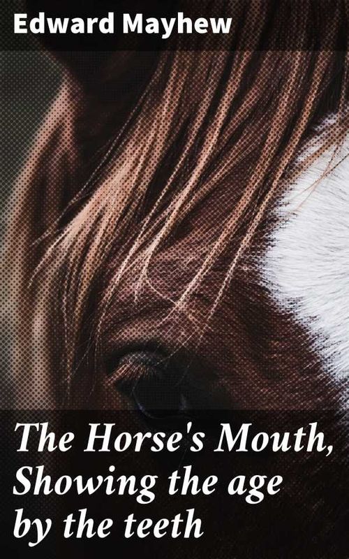 The Horses Mouth Showing the age by the teeth