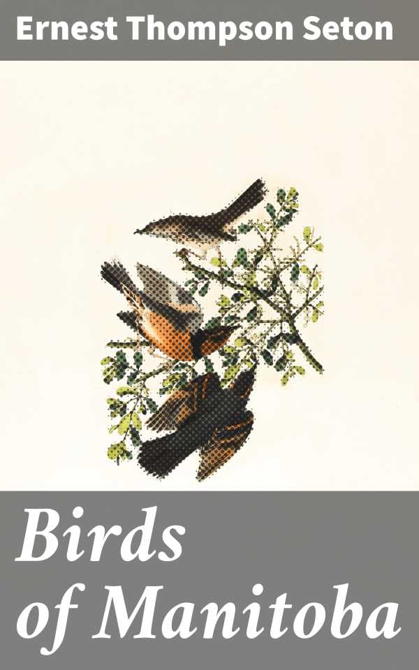 bw-birds-of-manitoba-good-press-4064066353896