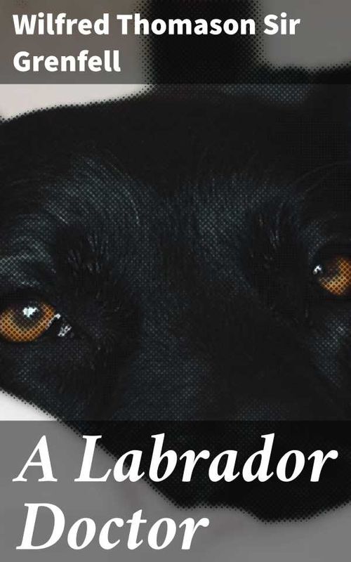 A Labrador Doctor