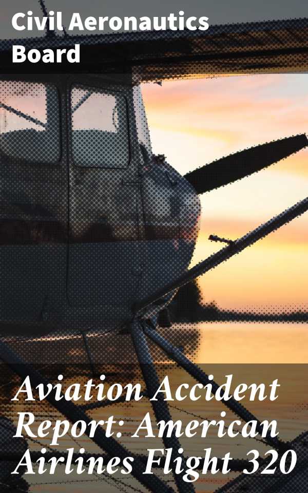 bw-aviation-accident-report-american-airlines-flight-320-good-press-4064066061975