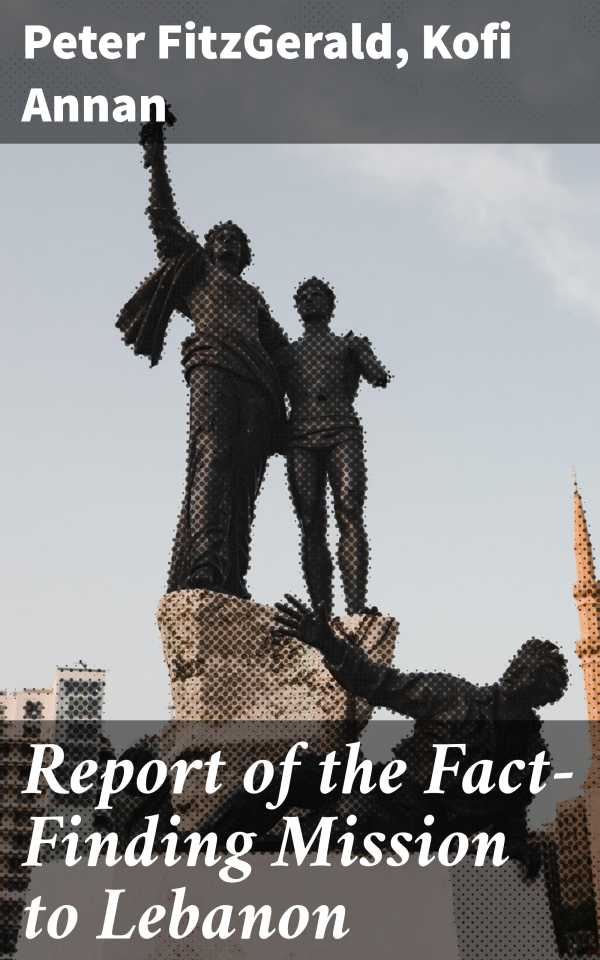bw-report-of-the-factfinding-mission-to-lebanon-good-press-4064066066529
