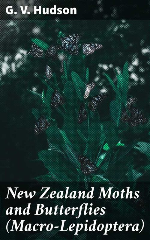 New Zealand Moths and Butterflies MacroLepidoptera