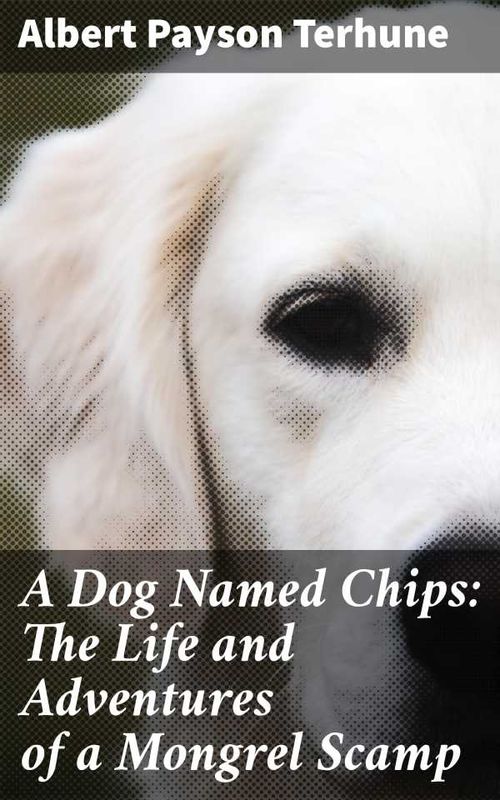 A Dog Named Chips The Life and Adventures of a Mongrel Scamp
