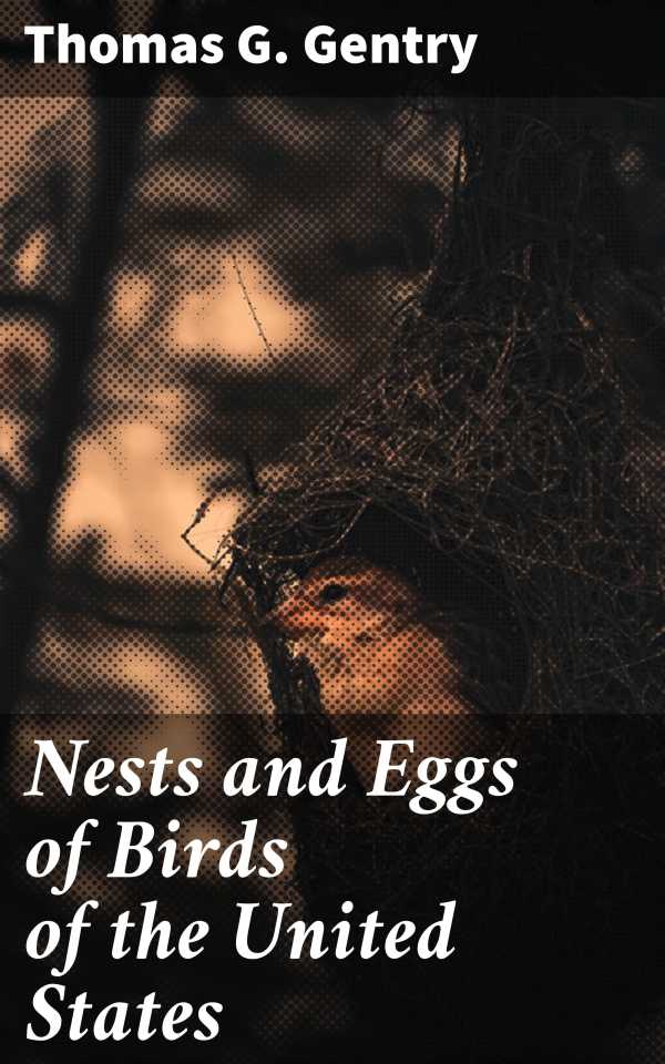 bw-nests-and-eggs-of-birds-of-the-united-states-good-press-4064066155377