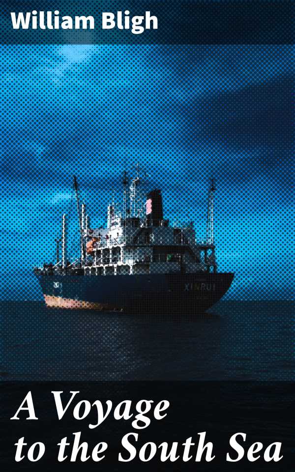 bw-a-voyage-to-the-south-sea-good-press-4057664109378